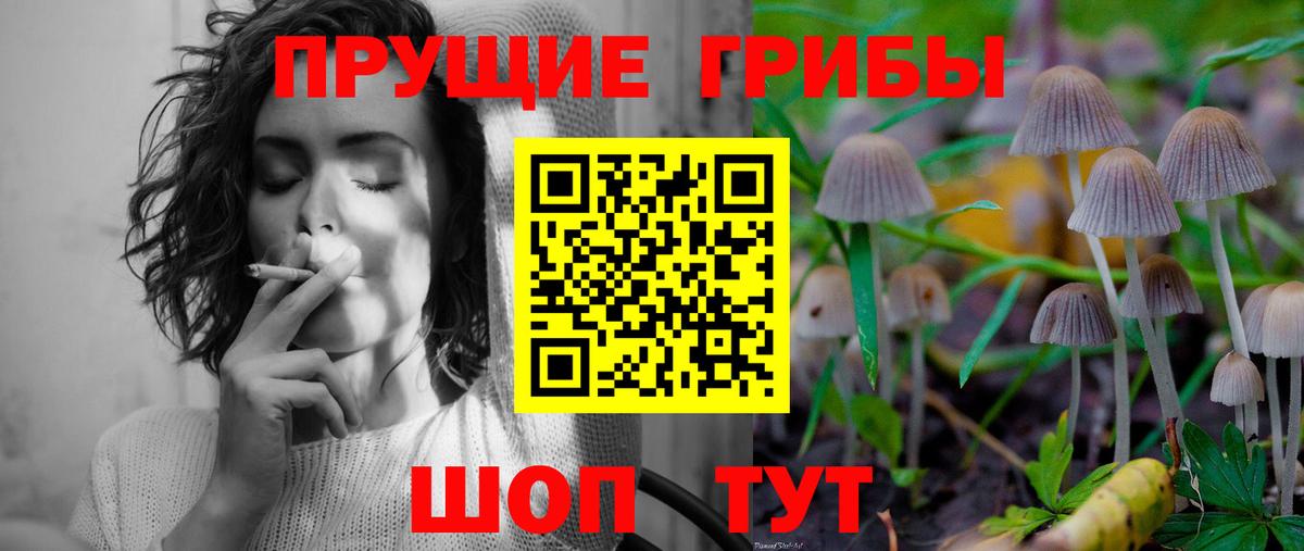 Галлюциногенные грибы MAGIC MUSHROOMS  Галлюциногенные грибы MAGIC MUSHROOMS  Гусь-Хрустальный  Вход с VPN 